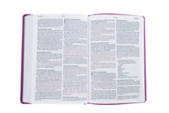 NLT Large Print Thinline Reference Bible, Filament Enabled Edition (Red Letter, 12 NLT Large Print Thinline Reference Bible, Filament Enabled Edition (Red Letter, -Books Shop 100 0006 4