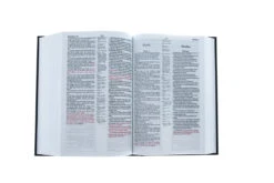 Bible German/English Original Red Letter Hardcover -Books Shop 100 0123 3
