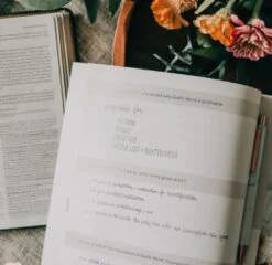 Amen- The Story Of Scripture From Eden To Eternity -Books Shop 117 0022 2 1