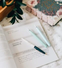 Amen- The Story Of Scripture From Eden To Eternity -Books Shop 117 0022 3