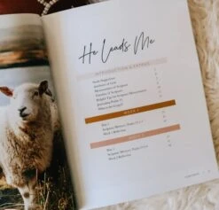 He Leads Me | A Study Of Psalms 23 10 He Leads Me | A Study Of Psalms 23 -Books Shop 117 0031 2