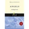 Angels: Standing Guard Revised -Lifeguide Bible Studies 1 Angels: Standing Guard Revised -Lifeguide Bible Studies -Books Shop 117 0105 0