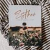 Esther | Seeing God When He Is Silent -Books Shop 117 0138 0