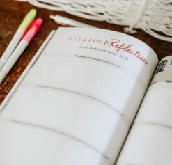 Romans Volume 2 | The Gospel Centered Life -Books Shop 117 0147 3