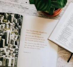 He Leads Me | Psalm 23 – Men -Books Shop 117 0186 2