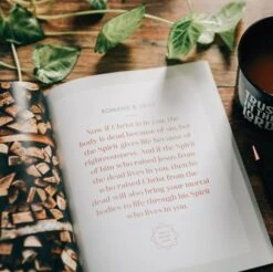 Romans Vol. 1 | The Gospel Of Grace – Men -Books Shop 117 0187 1