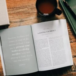 Romans Vol. 2 | The Gospel-Centered Life – Men -Books Shop 117 0188 1 1