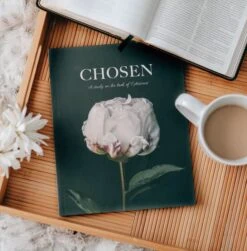 Chosen: Ephesians Study -Books Shop 117 1705 1