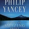 What’s So Amazing About Grace? Participant’s Guide, Updated Edition -Books Shop 117 1707 0