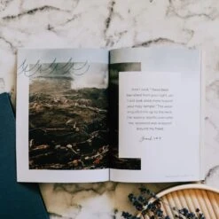 Mercy In The Storm: Jonah Study -Books Shop 117 1708 3