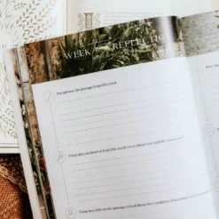 Ruth -Fields Of Grace -Books Shop 117 1710 3