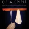 The Ornament Of A Spirit -Books Shop 118 0295 0