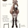 Flash: The Homeless Donkey -Books Shop 118 1205 0