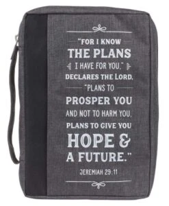 BC: I Know The Plans Charcoal Value Large