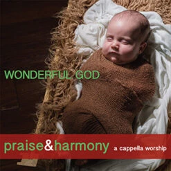 Wonderful God Christmas CD