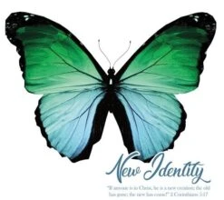 New Identity CD