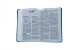 ICB Precious Moments Bible, Leathersoft, Blue -Books Shop 200 0379 4