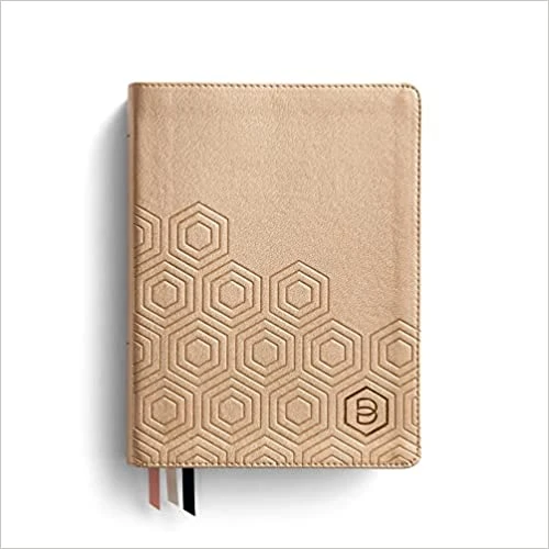 NLT One Step Closer Bible 3 NLT One Step Closer Bible