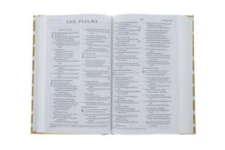 ESV Thinline Bible -Cloth Over Board, Polka Dots -Out Of Print -Books Shop 200 0441 3