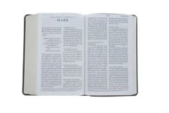 ESV Large Print Personal Size Bible Trutone, Brown, Engraved Mantel Design -Books Shop 200 0452 4