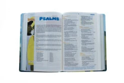 HCSB Big Picture Interactive Bible: Jesus Edition LeatherTouch -Books Shop 200 0455 2