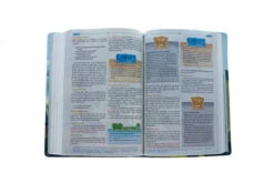 HCSB Big Picture Interactive Bible: Jesus Edition LeatherTouch -Books Shop 200 0455 3