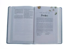 CSB (In)Courage Devotional Bible-Blue LeatherTouch -Books Shop 200 0518 2