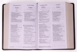 Parallel Side-By-Side Bible NIV/NKJV/NLT/MS -Books Shop 202 0002 2 1