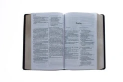 KJV/NLT2 People’s Parallel Bible-Burgundy Imitation Leather -Books Shop 202 0031 3