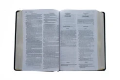 KJV, Amplified, Parallel Bible, Large Print, Bonded Leather, Black -Books Shop 202 0045 3