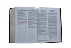 KJV, Amplified, Parallel Bible, Large Print, Bonded Leather, Black -Books Shop 202 0045 4