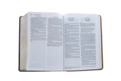 KJV, Amplified, Parallel Bible, Large Print, Leathersoft, Tan/Burgundy -Books Shop 202 0047 5