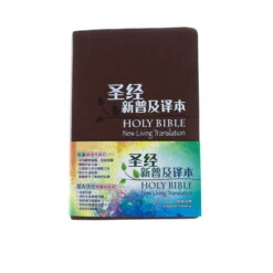 NLT / CNLT English / Chinese Simplified Chinese -Books Shop 202 0048 1