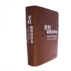 NLT / CNLT English / Chinese Simplified Chinese -Books Shop 202 0048 2