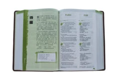NLT / CNLT English / Chinese Simplified Chinese -Books Shop 202 0048 3