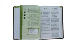 NLT / CNLT English / Chinese Simplified Chinese -Books Shop 202 0048 4