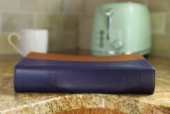 NIV & KJV Side-By-Side Bible/Large Print-Navy/Tan Duo-Tone -Books Shop 202 0049 3