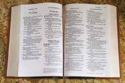 NIV & KJV Side-By-Side Bible/Large Print-Navy/Tan Duo-Tone -Books Shop 202 0049 5