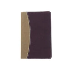 Amplified Holy Bible, Compact, Imitation Leather, Tan/Burgundy