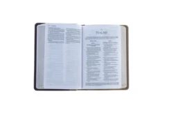 Amplified Holy Bible, Compact, Imitation Leather, Tan/Burgundy -Books Shop 203 0010 3