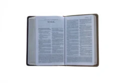 Amplified Holy Bible, Compact, Imitation Leather, Tan/Burgundy -Books Shop 203 0010 4