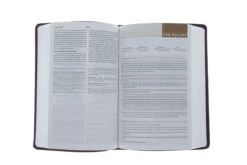 ESV Student Study Bible -Trutone, Chestnut Imitation Leather -Books Shop 204 0044 3