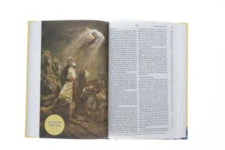 ESV Holy Bible For Kids-Hardcover 12 ESV Holy Bible For Kids-Hardcover -Books Shop 204 0092 4