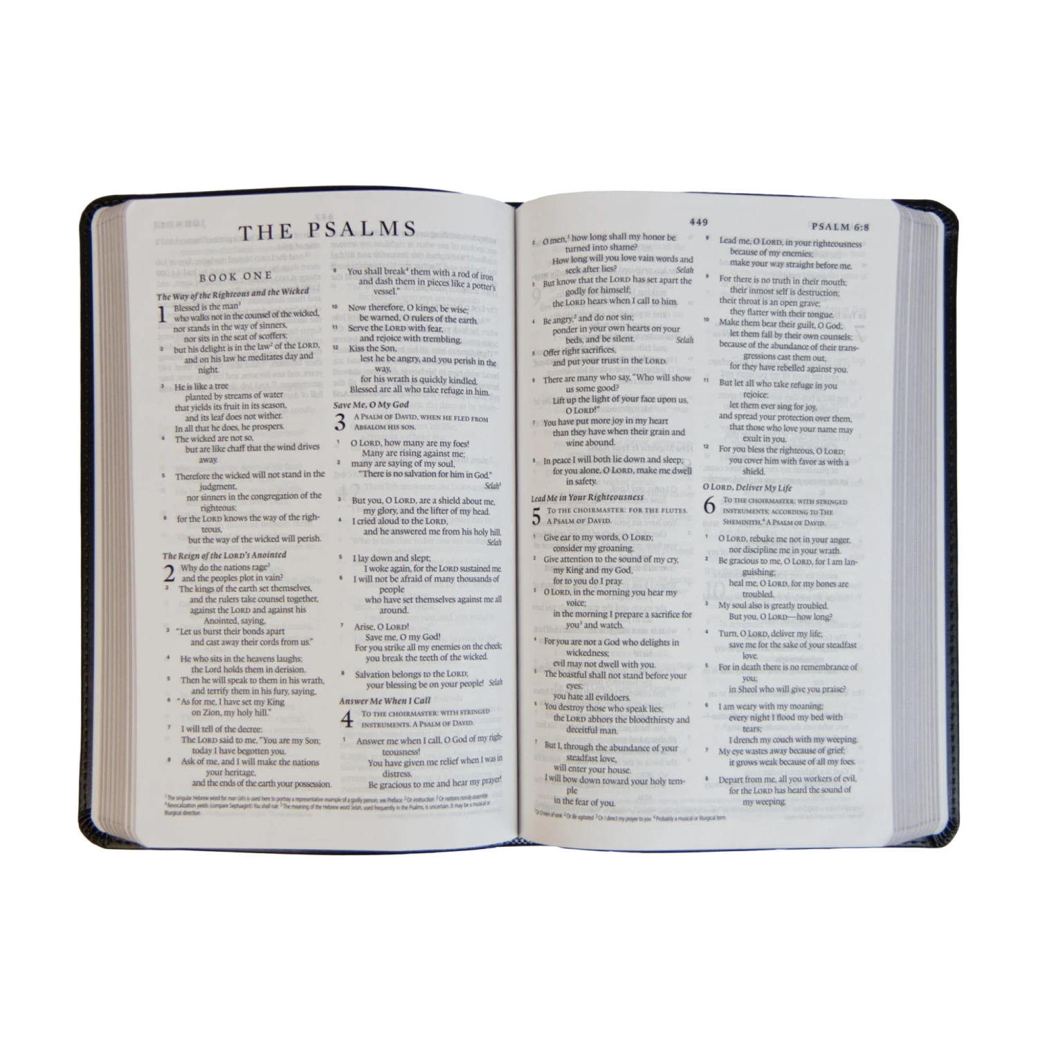 ESV Thinline Bible-Charcoal Crown TruTone Imitation Leather 4 ESV Thinline Bible-Charcoal Crown TruTone Imitation Leather - Image 2