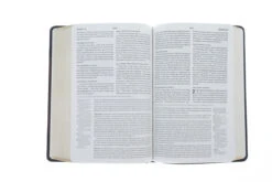 ESV Gospel Transformation Bible -Books Shop 204 0151 6