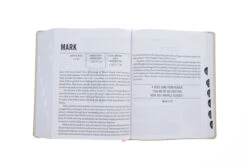 ESV Jesus Bible Artist Edition Peach Floral Leathersoft 11 ESV Jesus Bible Artist Edition Peach Floral Leathersoft -Books Shop 204 0191 4