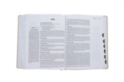 ESV Jesus Bible Artist Edition Peach Floral Leathersoft 12 ESV Jesus Bible Artist Edition Peach Floral Leathersoft -Books Shop 204 0191 5