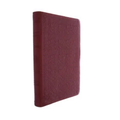 ESV Premium Gift Bible (TruTone, Ruby, Vine Design)