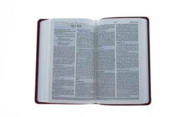 ESV Premium Gift Bible (TruTone, Ruby, Vine Design) -Books Shop 204 0193 4 1