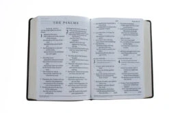 ESV Giant Print Bible (Trutone, Deep Brown) -Books Shop 204 0194 3